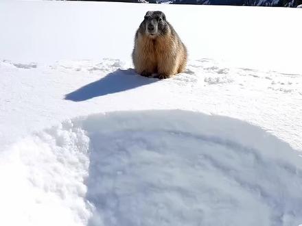迷失在雪山里,你会选择哪个泡澡池? #asmr #解压视频 #治愈系 #极度舒适 #ai创作浪潮计划