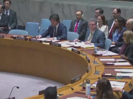 安理会要求胡塞武装停止袭击,中俄投弃权票,英美空袭也门首都