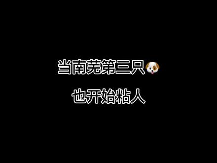 “出现了!吊打南芜双狗的男人”#傅识则 #折月亮 #配音