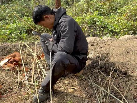 “张家界七星山”荒野求生决赛第10天
张老六又有大动作了 今日开干 为期十天破蔑做房顶建“荒野别墅”
因食物稀缺 暂搭个“60分版本的”。#张家界七星山 #荒野求生