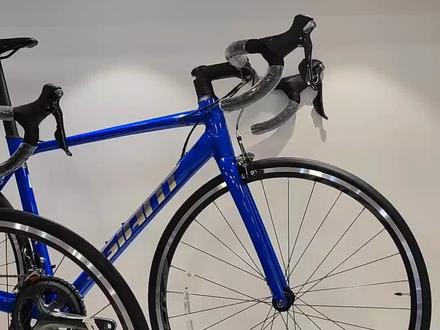 捷安特GIANT TCR SLR 与TCR SL2的区别和差异#公路车 #捷安特 #自行车