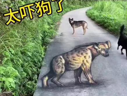 在马路上画只鬣狗,狗看到吓得都不
敢走了!