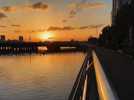 好看的日出🌅是怎么样拍出来的呢?可以来看看相机里面延时摄影这个功能哦!不需要后期剪辑合成 非常的方便 懒的剪视频的看过来!!拍出来的效果也是杠杠滴 #影视器材 #尼康 #拍照神器 #上饶 #拍摄
