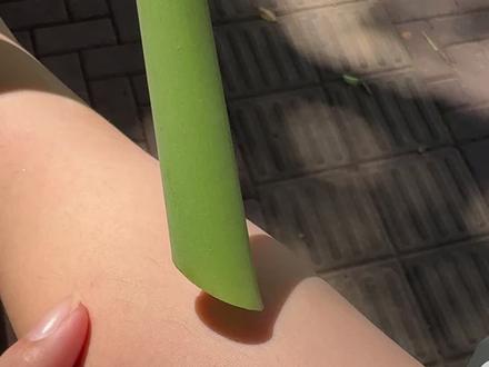 滴水观音的汁儿滴在了皮肤上,结果会咋样? #自然奇境科普季