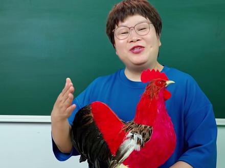 动物类作文通用万能法写大公鸡 #写作方法 #家庭教育 #写作干货