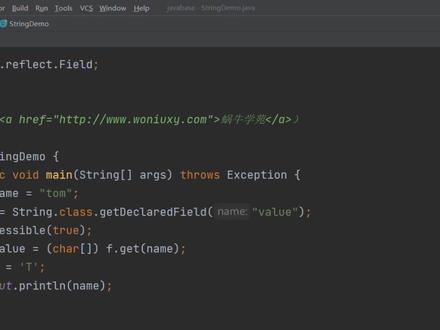 谁要再告诉你String是不可变的,你把这段代码甩给他 #Java #编程 #String