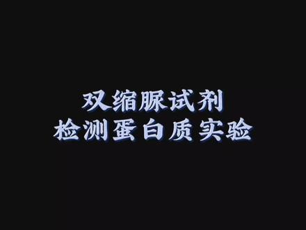 双缩脲试剂检测蛋白质#万物皆化学 #实验室日常 #化学实验