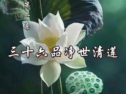 故事纯属杜撰之说,切勿纠结真谛!武汉加油、中国加油!