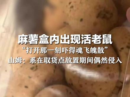 麻薯盒内出现活老鼠 “打开那一刻吓得魂飞魄散” 山姆:制作、包装等环节监控未发现异常 系在取货点放置期间偶然侵入