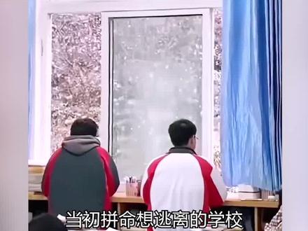 想念高中的情绪达到顶峰 #青春 #高中 #学生时代 #毕业 #老师 #娱乐评论大赏