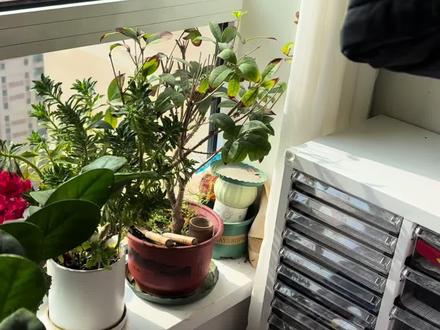 希望朋友们引以为戒,防患未然,毕竟每天使用的都是宝妈,老人,或者孩子#日常生活小妙招 #分享生活小技巧 #万万没想到 #一般人不告诉他 #手摇晾衣杆