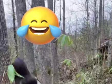 小紫帽“今天绝对不会摔跤”#七星山骆驼杯荒野求生赛