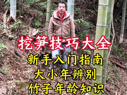 挖笋技巧大全 你是不是每次去竹林都挖不到冬笋,今天我把多年的挖笋经验一一分享给你,包含:新手入门指南、大小年辨别、竹子年龄知识、看竹兜找竹鞭以及注意事项;学会这些挖笋小技巧,进行融会贯通,基本都能满载而归#三农 #新农人计划2025 #农村生活 #户外 #挖笋