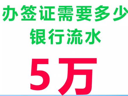 办签证的银行流水!#签证小知识 #出入境政策 #出国旅游 #签证中心 #签证中介