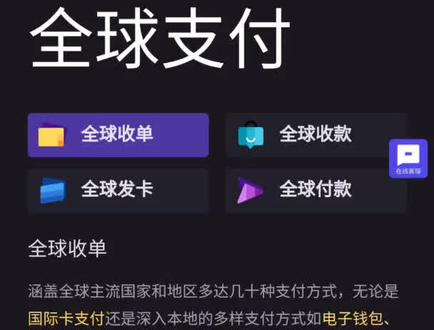 解锁全球支付#代码 #网站 #火了叫我 #数据可视化