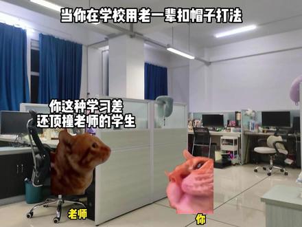 当你在学校用老一辈扣帽子打法 #猫meme