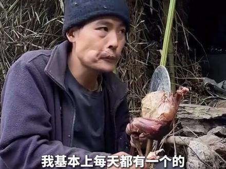 爱追求高端食材的“荒野刀疤哥”! “张家界七星山”荒野求生挑战赛第28天!爱追求高端食材的“刀疤哥”杨小勇
揭秘携自制挂包火寻植物、熟悉环境 坚守自己的风格 直言熬过三天便绝不退赛!网友:这才是荒野求生“打野高手”。#荒野求生 #刀疤哥 #张家界七星山