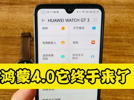 期待已久的手表鸿蒙4.0终于来了!据说改善了手表端的微信! #华为手表鸿蒙4.0 #手表更新系统