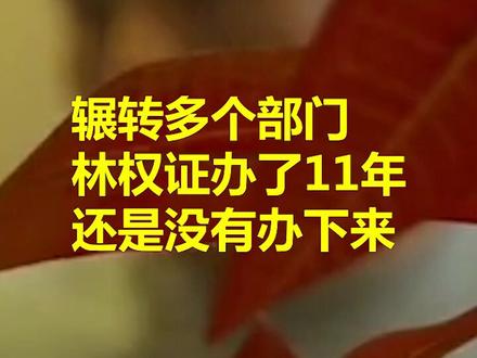 #林权证 有多难办?11年辗转多个部门还是不行,督查组前去暗访,局长隔着门回答“不知道”