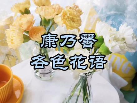 #康乃馨 #花语 #礼物 生活中常见的康乃馨各色花语,你都知道吗?