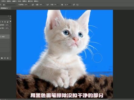 ps抠完图发现有黑边怎么办?试试我这个思路#ps教程 #抠图 #设计 #抠毛发