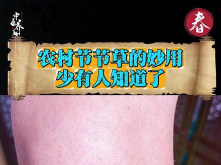 农村节节草的妙用 农村节节草的妙用,很少有人知道了