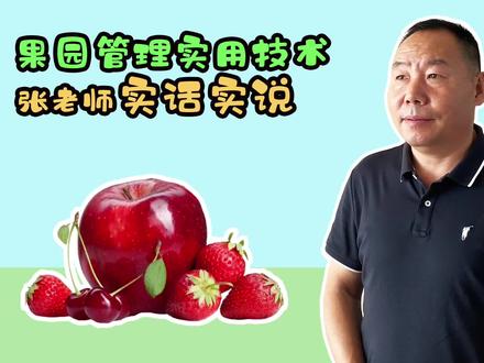 碳酸氢铵应该大力推广呢?还是依据种植作物科学灵活运用?