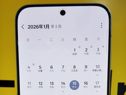 防止别人乱动手机,可以开启应用固定功能,真我手机应用固定如何开启方法。#realme #真我 #真我gt8pro #玩机技巧 #动漫壁纸