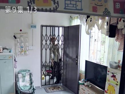 当纵火犯的保护伞遇上顶级布局者,刑期3年变终身! #正义女神 #热播剧 #港剧 #佘诗曼 #深度解说