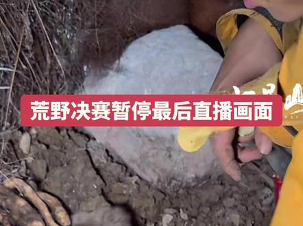 #荒野建哥 荒野决赛暂停最后的直播画面,建哥今天还弄到这么多物资,建哥真的是实力型选手,现在决赛突然暂停,意难平啊,心里空落落的好似被经历断崖式分手#七星山老六荒野 #张家界骆驼杯 #荒野求生暂停