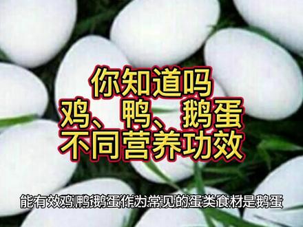 你知道鸡鸭鹅蛋不同营养功效吗?#鸡蛋 #鸭蛋 #鹅蛋的吃法 #营养健康 #蛋白质 #营养