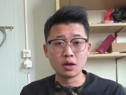 怎么养好一只黏人的小猫!#黏人的小猫咪 #新手养猫