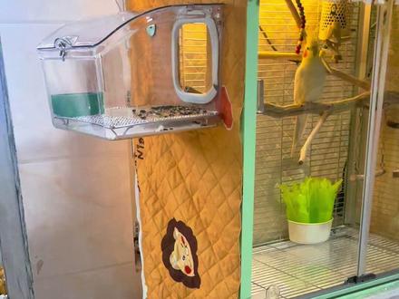 花20块 给鸟笼自制保温罩.#鸟笼制作