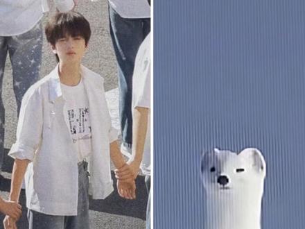 给李煜东想出白鼬塑的人简直是天才#李煜东#fo#追星#东不落#科普