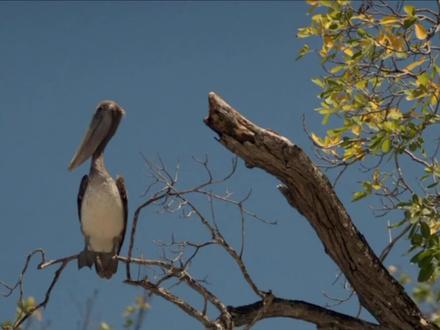 女人死在浴缸里,凶手为什么要撒盐《天堂岛疑云4.4》