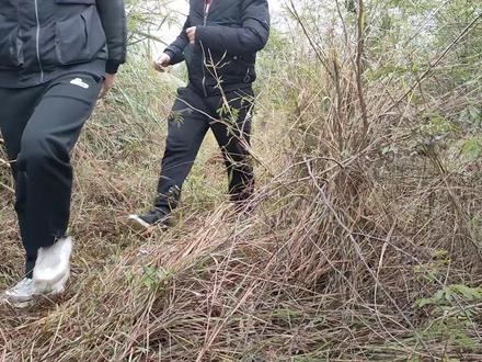 广西特色菜都有哪些?这道下酒菜你吃过么?第五味(爆炒田鼠) #户外美食 #我的乡村生活 #野外美食 #农村美食