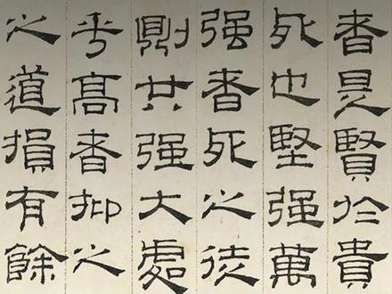 这部《道德经》以隶书写就,在书法史上绝无仅有,清朝皇室代代相传!#书法 #书法欣赏 #隶书 #道德经 #吴睿