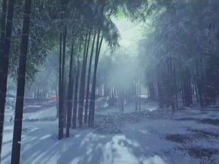 《雪见•落入凡尘》纯音乐完整版。
#仙剑奇侠传 #纯音乐