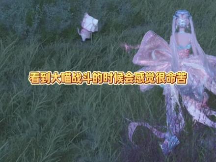 大喵又心酸又好笑#无限暖暖 #无限暖暖嘘森林不必听