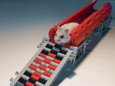 仓鼠:给大家炫一个乐高游乐园!#乐高 #积木 #乐高搭建 #仓鼠 #游乐园 #六一儿童节