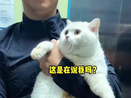 果然爱是常觉亏欠啊(cr.在吗李姐)
#萌宠 #可爱#搞笑#万万没想到