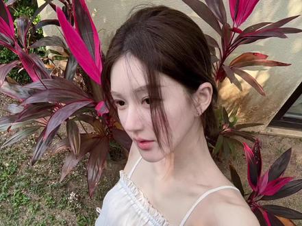 赵露思, 陈伟霆,杨紫,王鹤棣和孟子义,女歌手