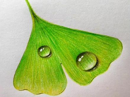 银杏叶这样画,简单易学一看就会,#简笔画