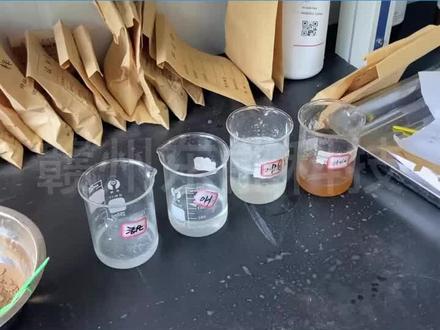 赤铁矿浮选工艺流程主要用于选别细粒、微粒,弱磁性铁矿石,而浮选又分正浮选工艺与反浮选两种工艺流程。其中赤铁矿正浮选工艺是利用阴离子捕收剂将原矿中的铁矿物浮选出来,捕收剂为脂肪酸类或石油磺酸盐等。该工艺流程对处理单一的赤铁矿石优势明显,但是需要多次精选后才能得到合格的赤铁精矿。#选矿设备厂家 #工厂实拍视频 #赤铁矿 #赣州东能科技 #选矿实验