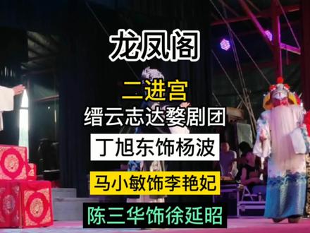 缙云志达婺剧团《龙凤阁》二进宫唱段,丁旭东饰杨波,马小敏饰李艳妃,陈三华饰徐延昭#戏曲 #戏精
