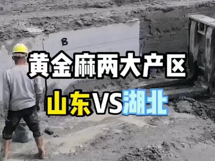 黄金麻的两大石材产区,湖北跟山东谁更胜一筹#黄金麻 #矿山开采 #石材加工