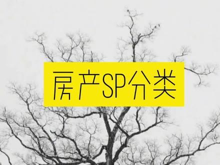 房产sp分类#房地产营销