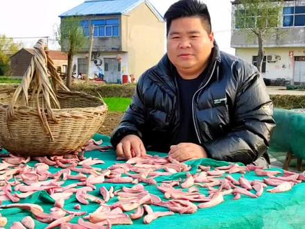 解答一下粉丝的好奇心,基层一线村干部一年的工资到底有多少#乡村守护人 #村支书 #三农 #抖音助农 #乡村振兴