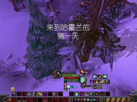 初来乍到~#魔兽世界 #魔兽世界pvp #哈霍兰