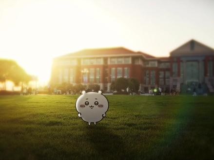 教程来啦 素材主页群自取!!